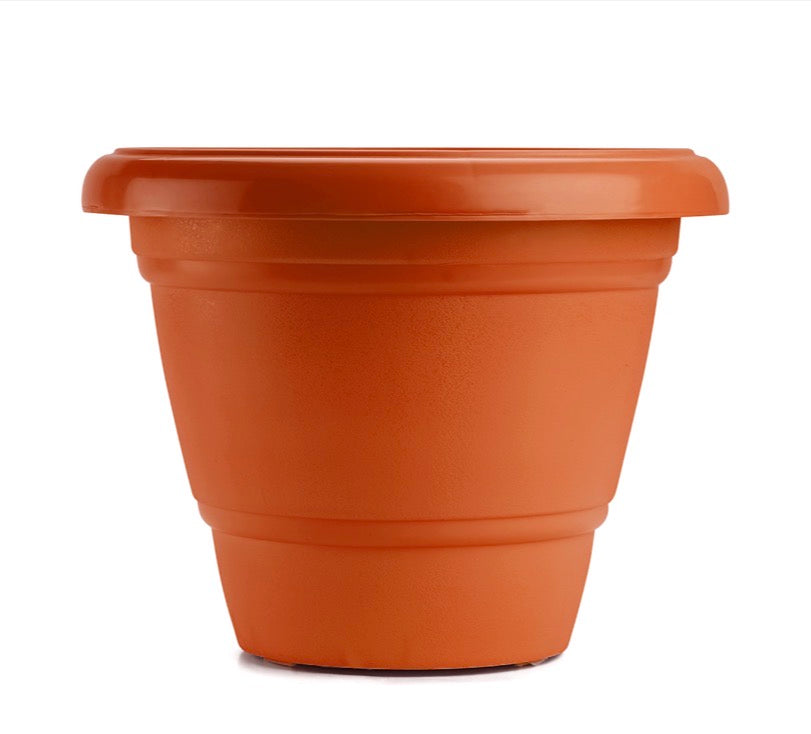 Delux Pot 10”