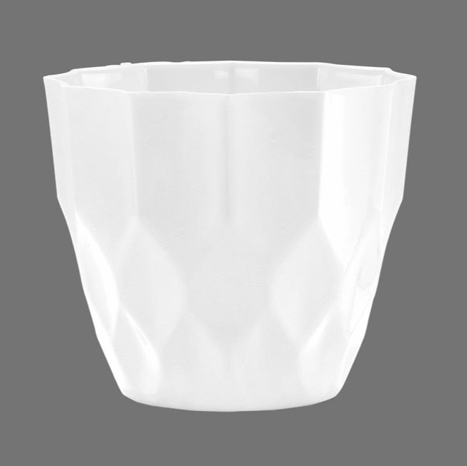 Rich Pot