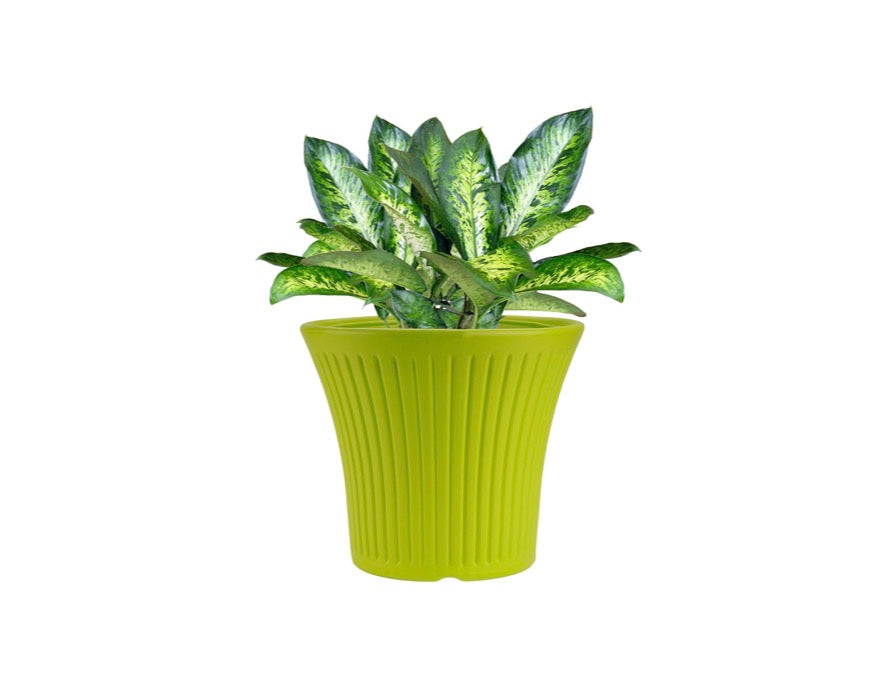 Tancy Round Pot