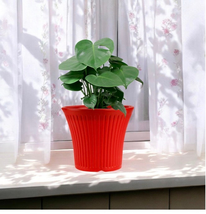 Tancy Round Pot